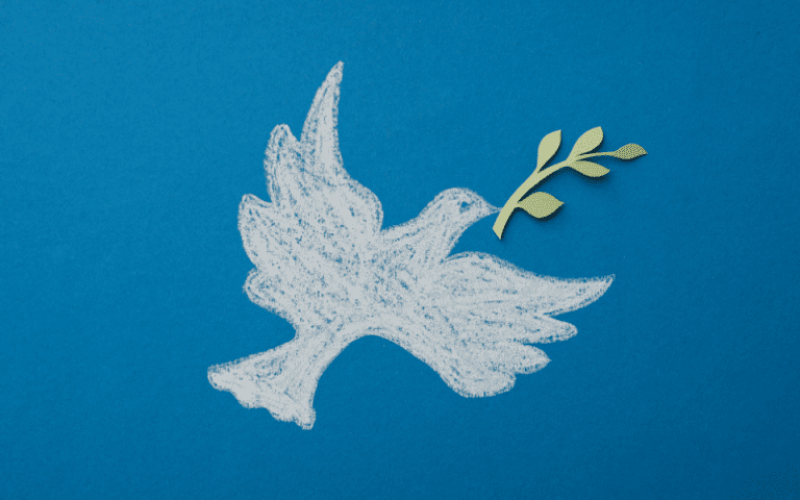 foto destaque site (1)