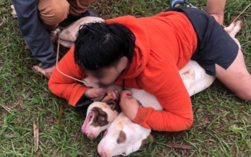 foto destaque site (1)