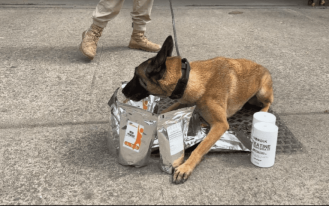 foto destaque site (1)