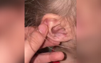 foto destaque site (1)