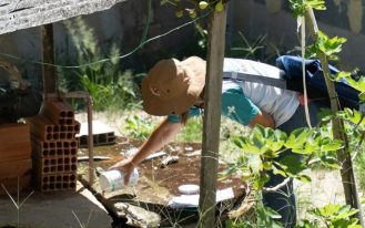 foto destaque site 1