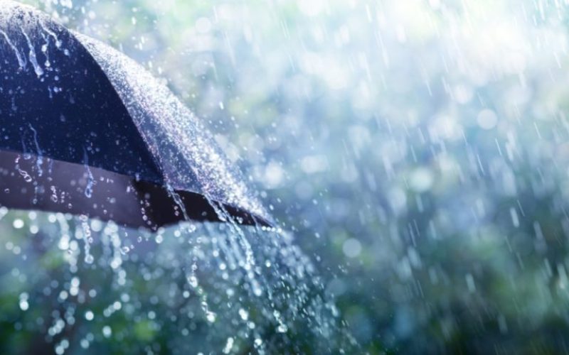 foto destaque site (11)