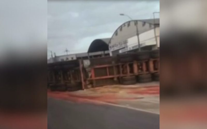 foto destaque site (11)