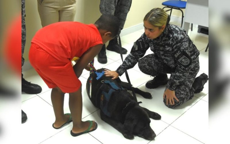 foto destaque site (11)