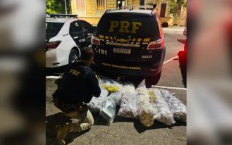 foto destaque site (12)