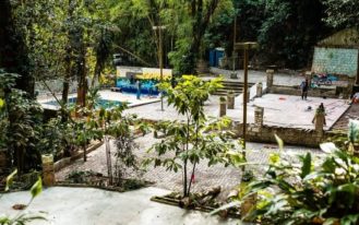 foto destaque site (13)