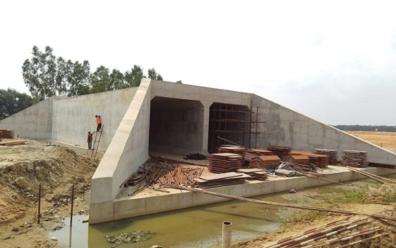 foto destaque site (13)