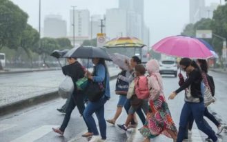 foto destaque site (14)