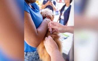 foto destaque site (14)