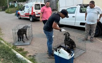 foto destaque site (16)