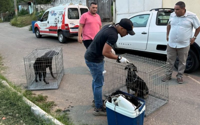 foto destaque site (16)