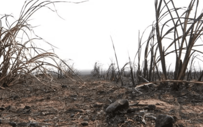 foto destaque site foto destaque site