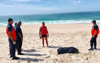 foto destaque site (18)