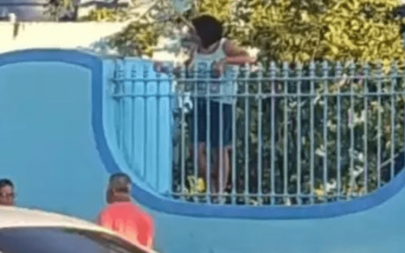 foto destaque site (2) foto destaque site (2)