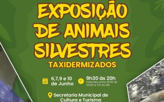 foto destaque site (2)