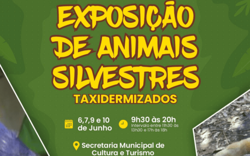 foto destaque site (2) foto destaque site (2)