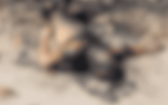 foto destaque site (2)