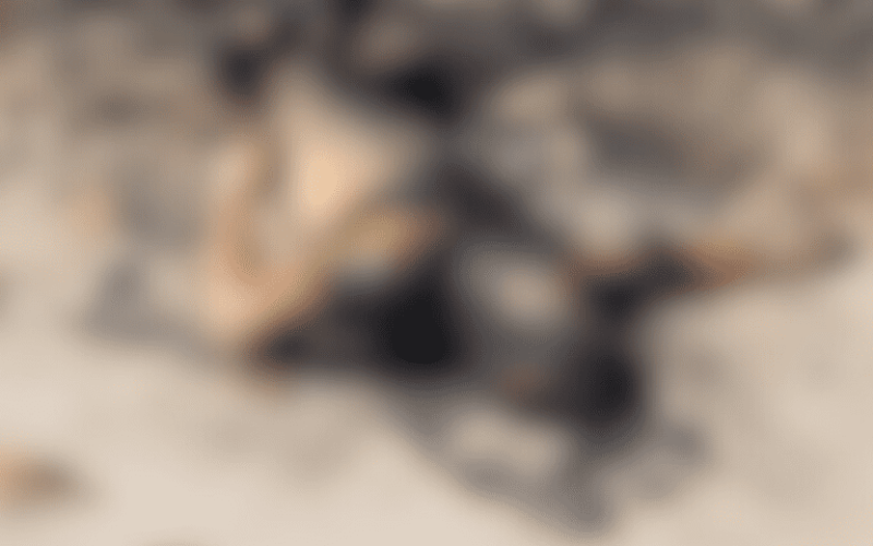 foto destaque site (2)