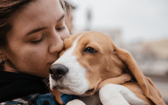 foto destaque site (2)