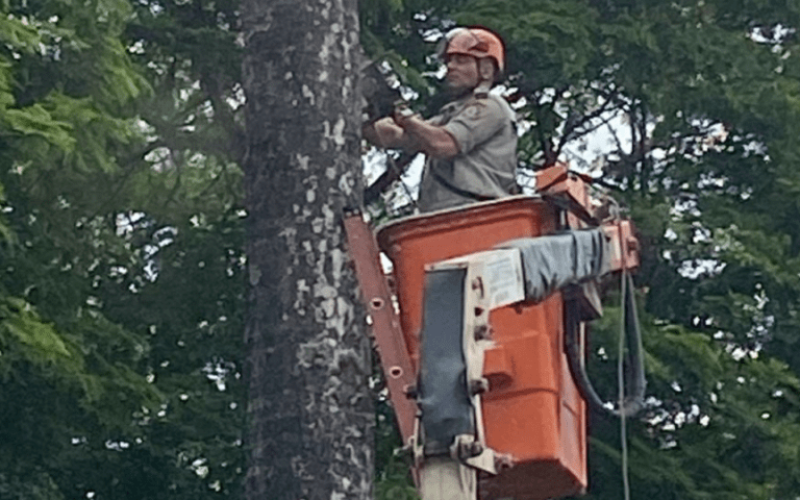 foto destaque site (2)