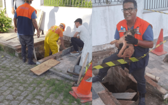 foto destaque site (2)