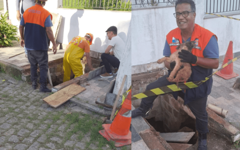 foto destaque site (2) foto destaque site (2)