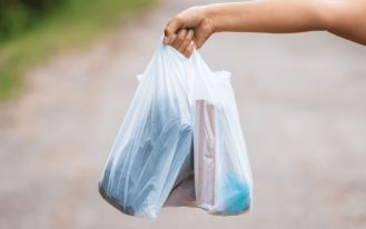 foto destaque site (2)