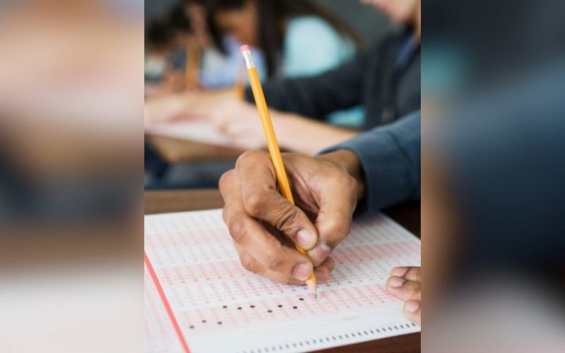 foto destaque site (20)