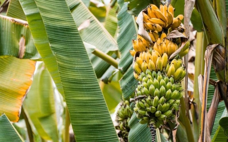 foto destaque site (22)