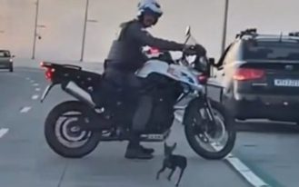 foto destaque site (23)