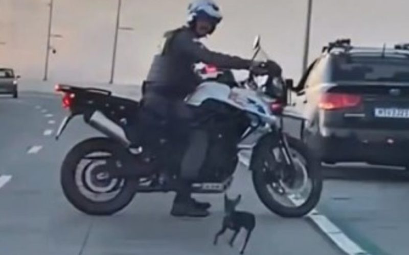 foto destaque site (23)