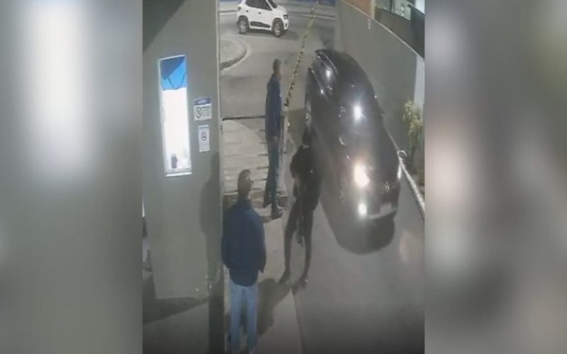 foto destaque site (26)