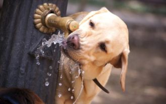 foto destaque site (26)