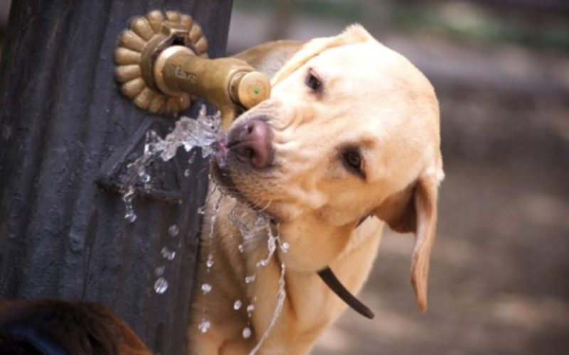 foto destaque site (26)