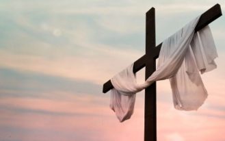 foto destaque site (28)