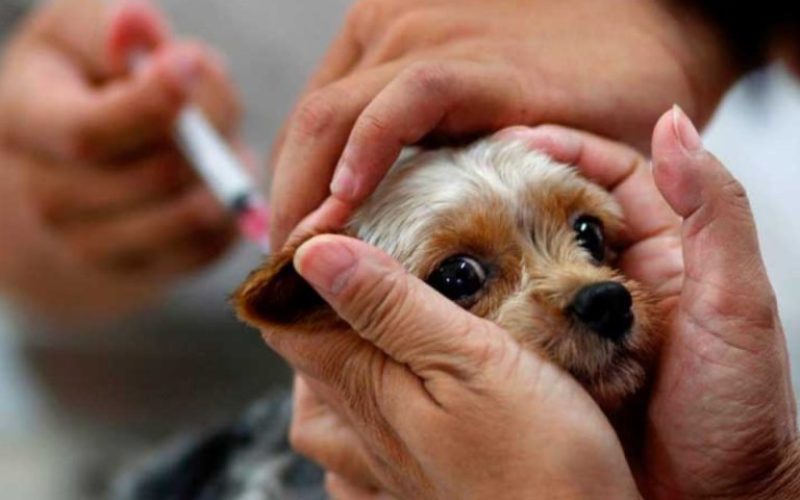 foto destaque site (29)