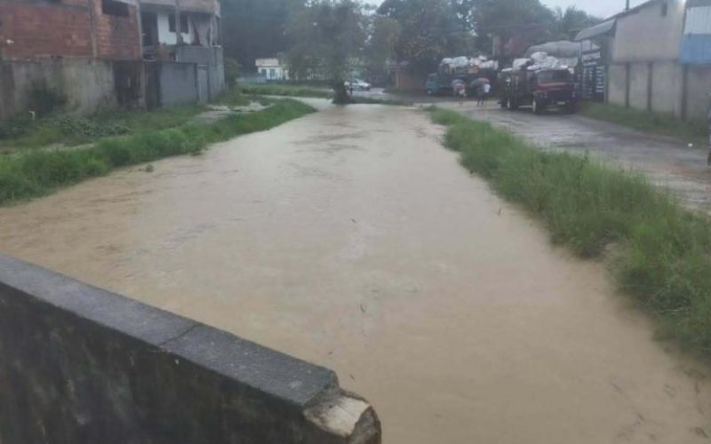 foto destaque site (29)