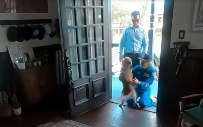 foto destaque site (3)