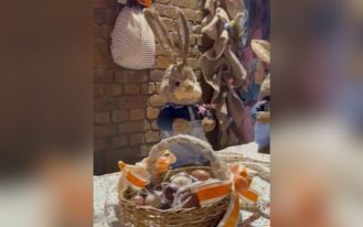 foto destaque site (3)