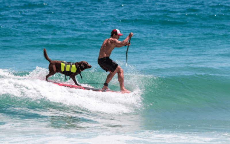 foto destaque site (3)