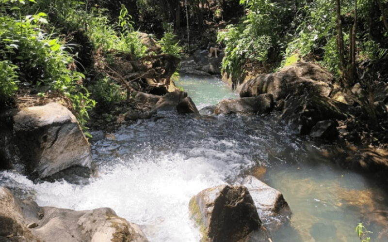 foto destaque site