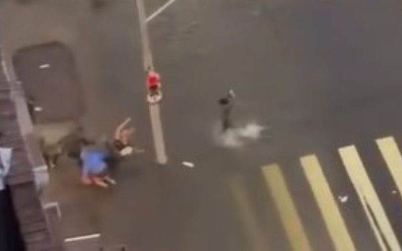 foto destaque site (3)