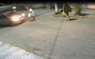 foto destaque site (31)