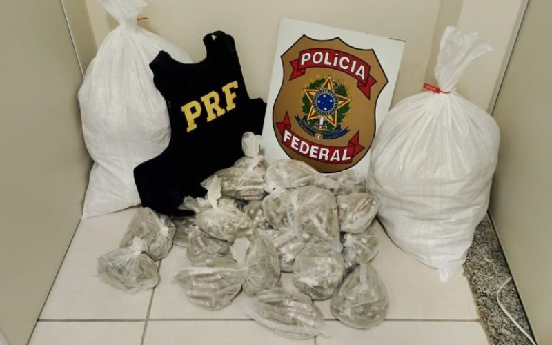 foto destaque site (33)