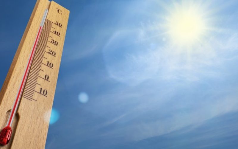 foto destaque site (36) foto destaque site (36)