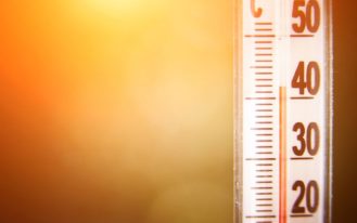 foto destaque site (37)