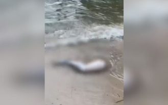 foto destaque site (38)