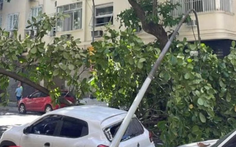 foto destaque site (39)