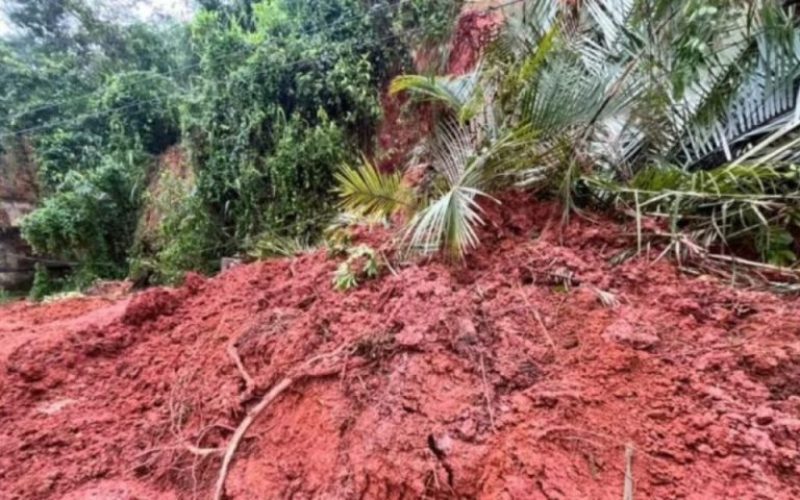 foto destaque site (4)