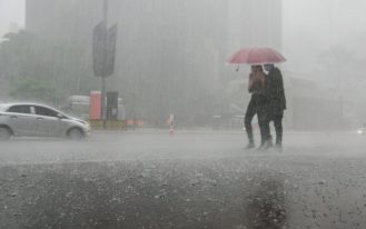 foto destaque site (40)